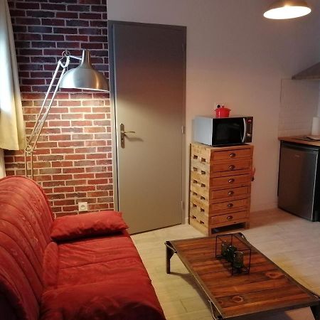 Studio "La Brique Rouge" Agen Eksteriør billede